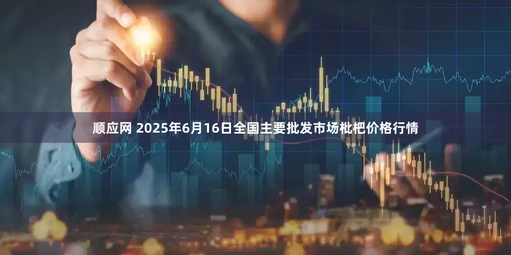 顺应网 2025年6月16日全国主要批发市场枇杷价格行情