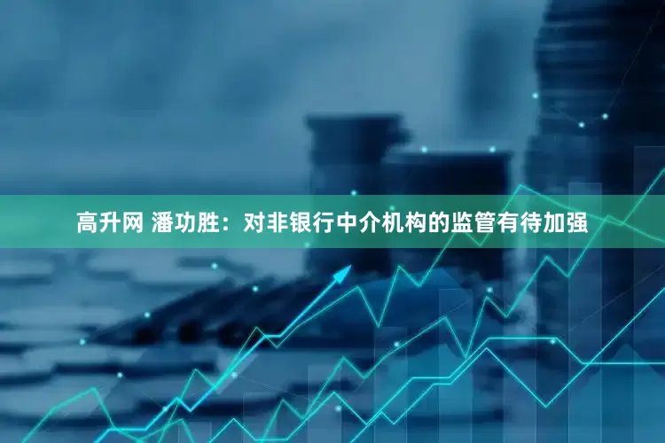 高升网 潘功胜：对非银行中介机构的监管有待加强