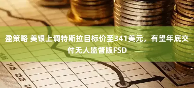 盈策略 美银上调特斯拉目标价至341美元，有望年底交付无人监督版FSD