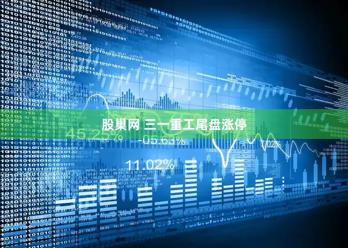 股巢网 三一重工尾盘涨停