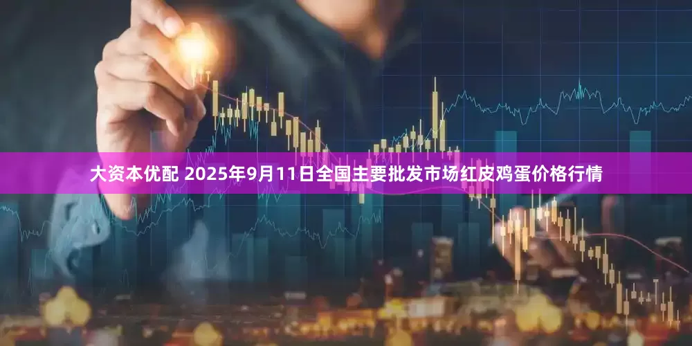 大资本优配 2025年9月11日全国主要批发市场红皮鸡蛋价格行情