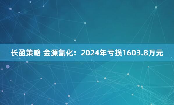 长盈策略 金源氢化：2024年亏损1603.8万元