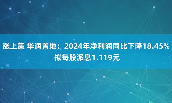 涨上策 华润置地：2024年净利润同比下降18.45% 拟每股派息1.119元