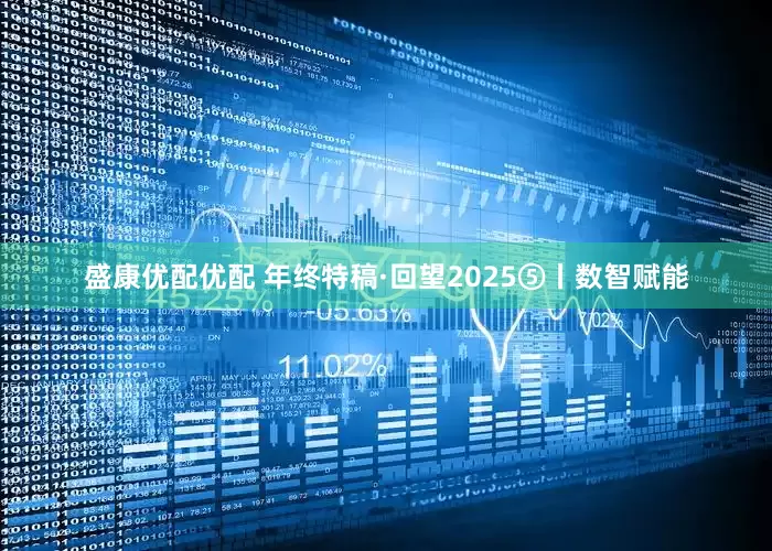 盛康优配优配 年终特稿·回望2025⑤丨数智赋能