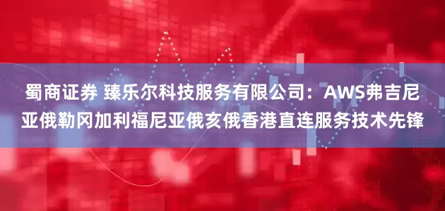 蜀商证券 臻乐尔科技服务有限公司：AWS弗吉尼亚俄勒冈加利福尼亚俄亥俄香港直连服务技术先锋