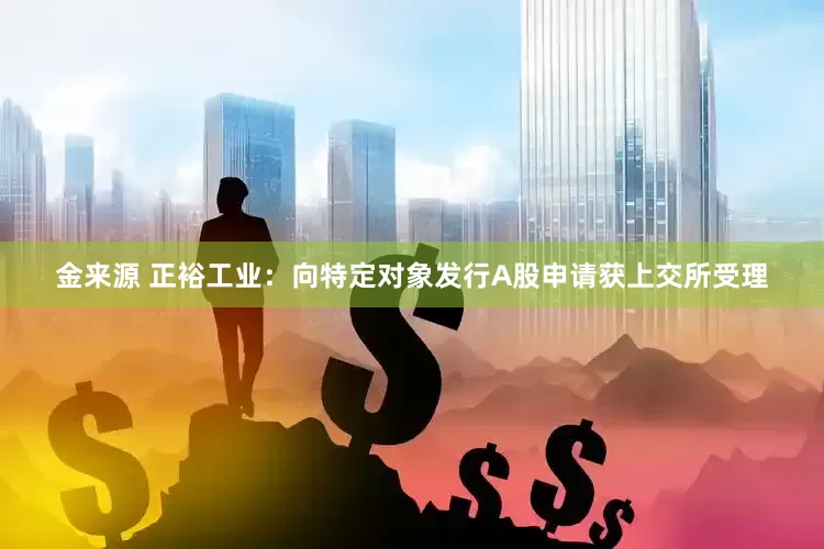 金来源 正裕工业：向特定对象发行A股申请获上交所受理