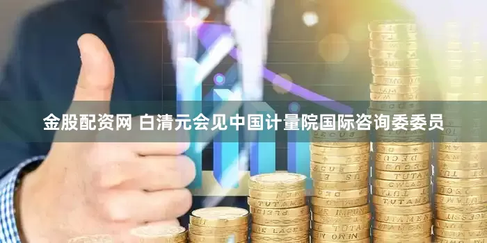 金股配资网 白清元会见中国计量院国际咨询委委员
