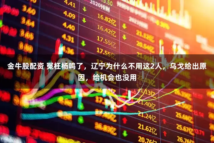 金牛股配资 冤枉杨鸣了，辽宁为什么不用这2人，乌戈给出原因，给机会也没用